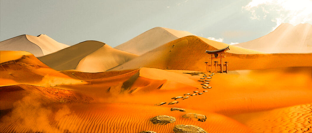 Tori dans le désert